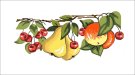  Goblenuri pictate - Perne decorative,Fructe-50 x 28
