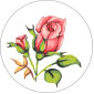  Goblenuri pictate - Flori,Trandafiri-9 x 9