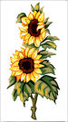  Goblenuri pictate - Flori,Floarea soarelui-11 x 20