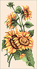  Goblenuri pictate - Flori,Floarea soarelui-11 x 20