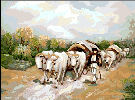  Goblenuri pictate,Car cu boi-15 x 24
