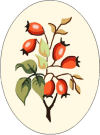  Goblenuri schema - Flori,Macese-90 x 120