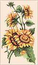  Goblenuri schema - Flori,Floarea soarelui-110 x 200