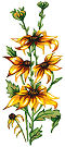  Goblenuri schema - Flori,Floare galbena-110 x 250