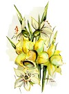  Goblenuri schema - Flori,Narcise-120 x 160